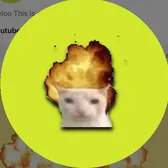 sarsterytt