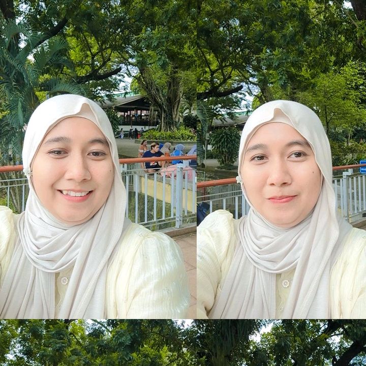 noviashop