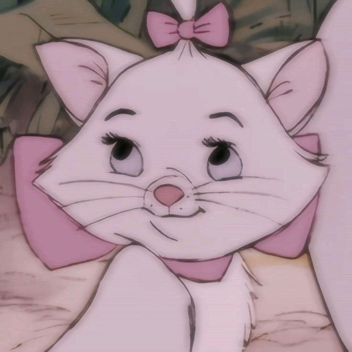 beeshasa🌷🎀💗