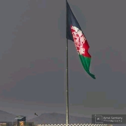 Hassib Noori
