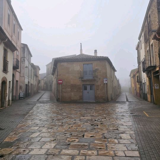 MOUNIM