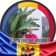 Petru Moise711