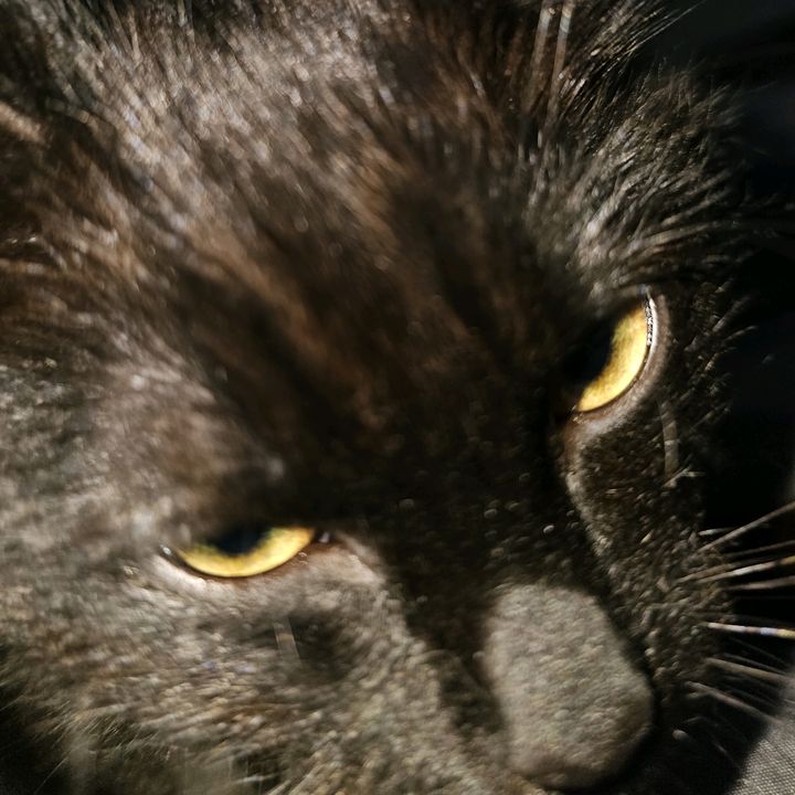 Dirk