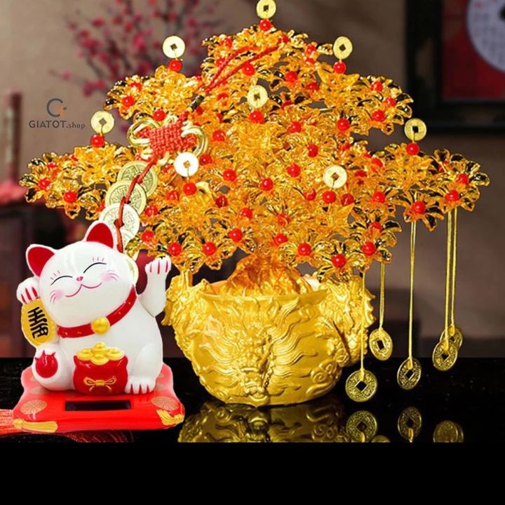 Thuyngashop chuyên đồ nam