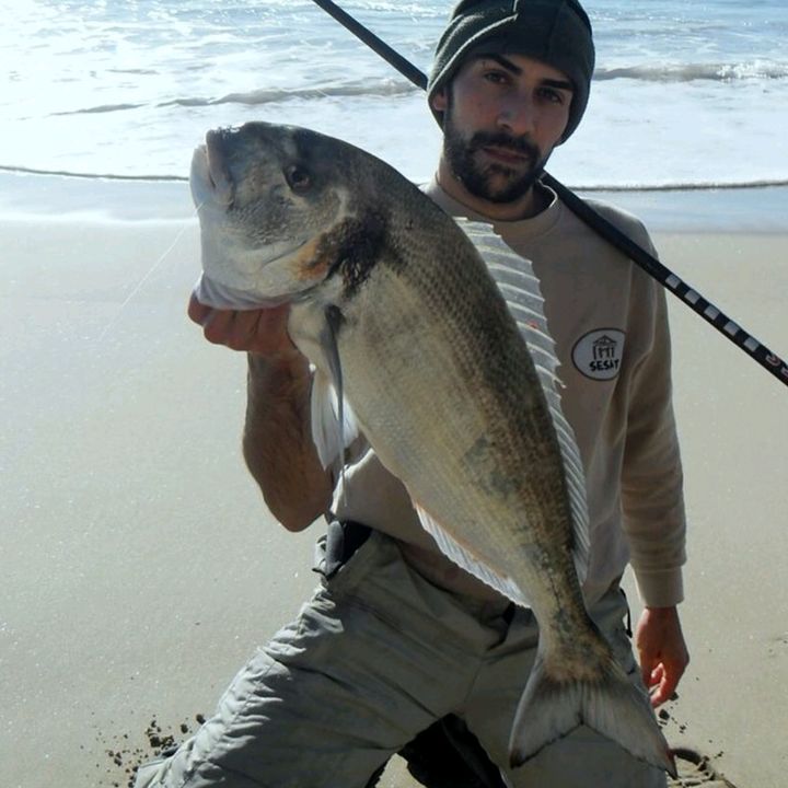 Michele Giramma BlueMarlin