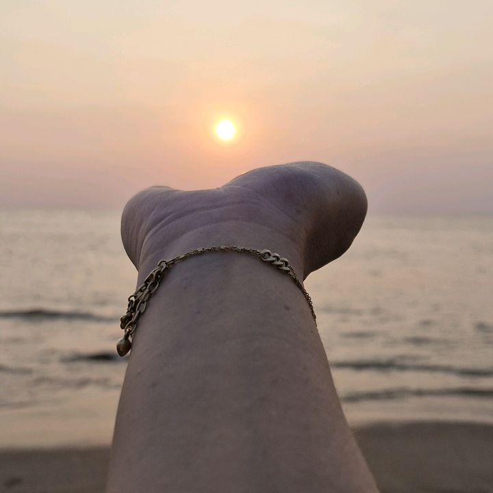 sungampurple