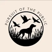 pursuit of the public
