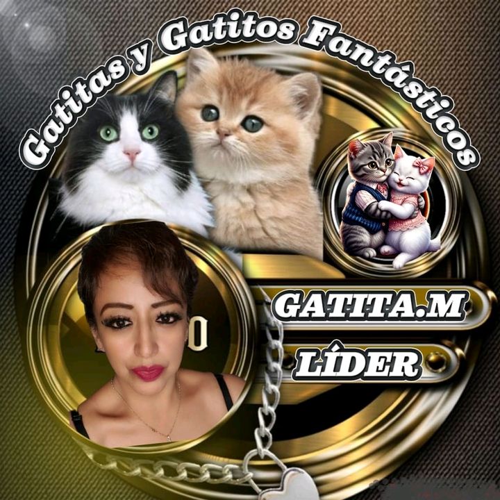 ꧁GATITA_🦚🐈🌵_GUERRERO꧂