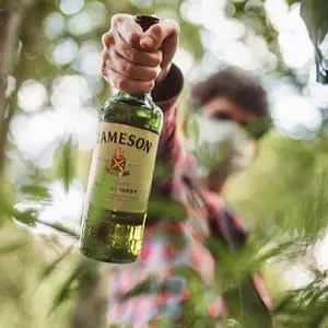 Jornada do Whisky