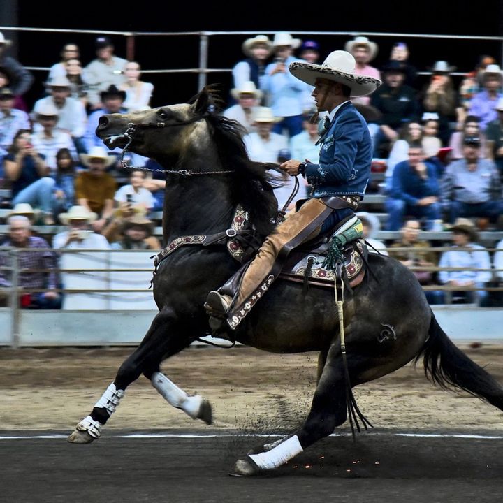 Rancho Los Nogales