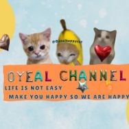 Oyealhappycat