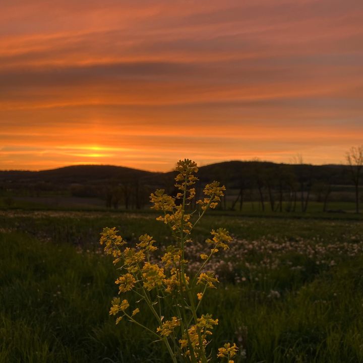Pennsylvania