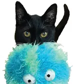 RainSurnameCats