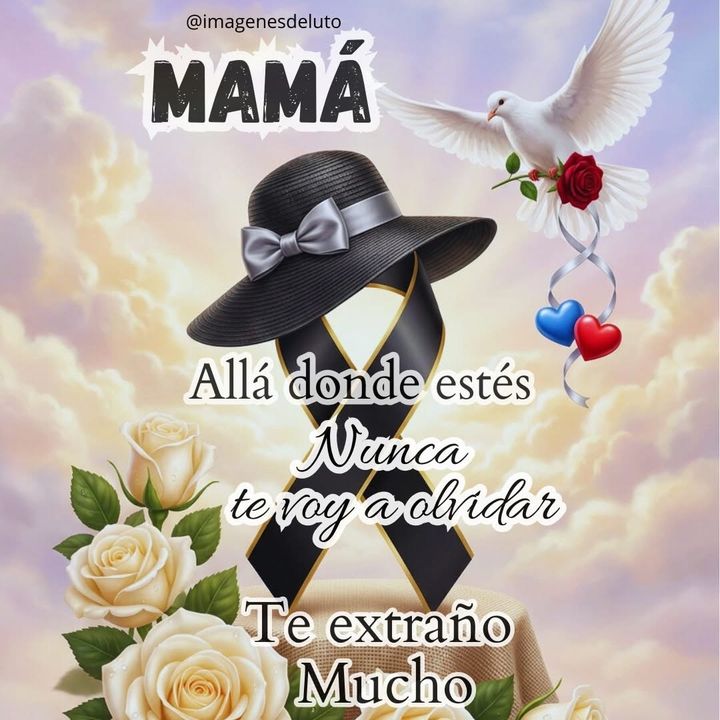 🥷👑🕊️(M)🫶Lizeth🥰😍🥰