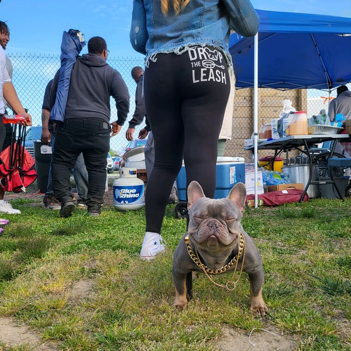 Gotta Have 1 Frenchies
