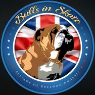 bulls_in_skate