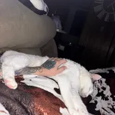 mom_mode_beast_mode