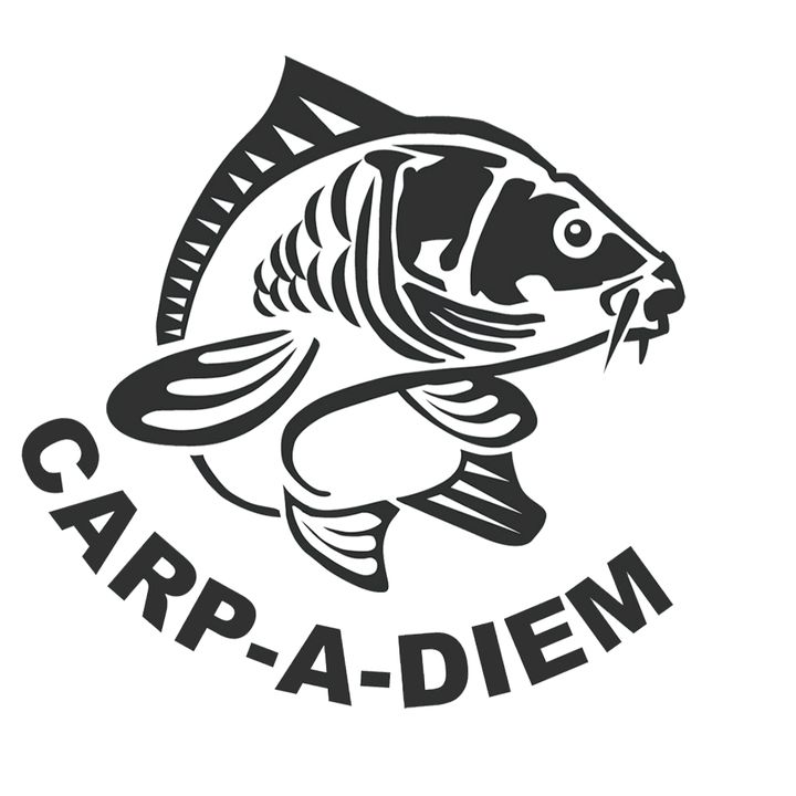 BigFishOn