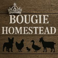 Bougie Homestead