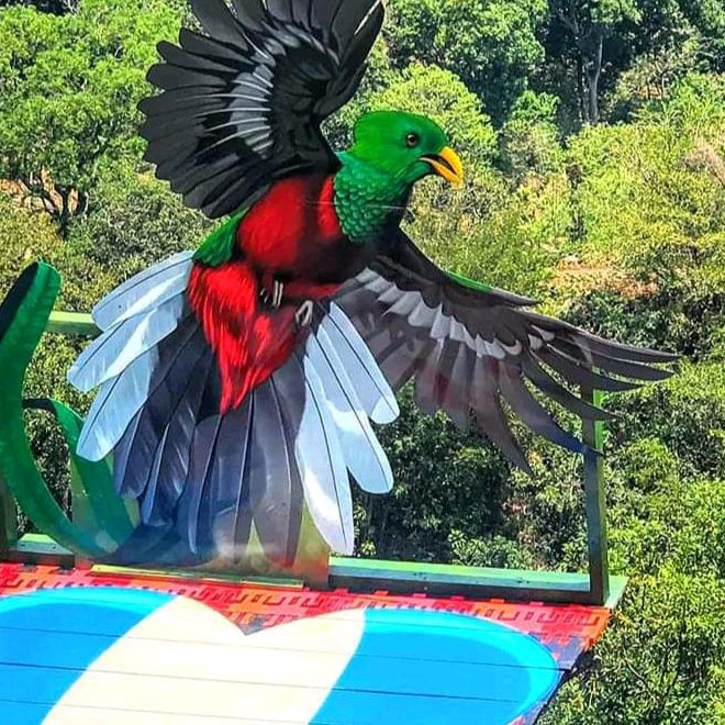 hector dia 502🇬🇹🇬🇹