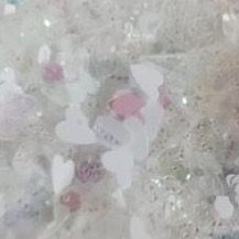 blossomedpinkroses