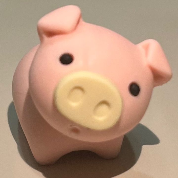 PiggyFoodieFuntime