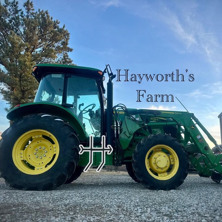 Hayworth Farm and adventures