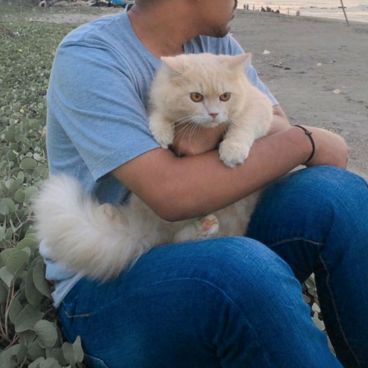 Furqan suka Vanilla