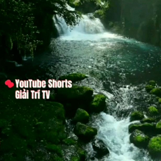 YOUTUBE Shorts