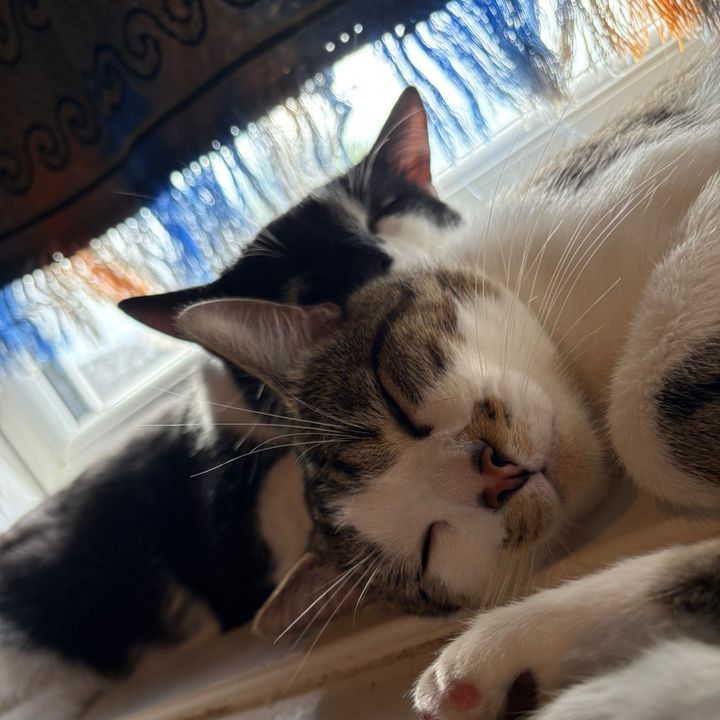 جوجو🫶🏽❤️
