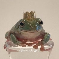 fantastic froggos