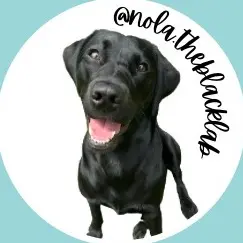 nolaandmollylabs