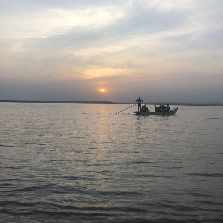 shahi