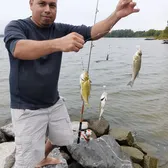 DJ cariñoso y su rokola