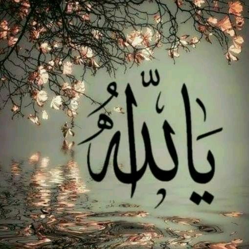 Shekiba Yousufi