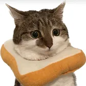 Suki