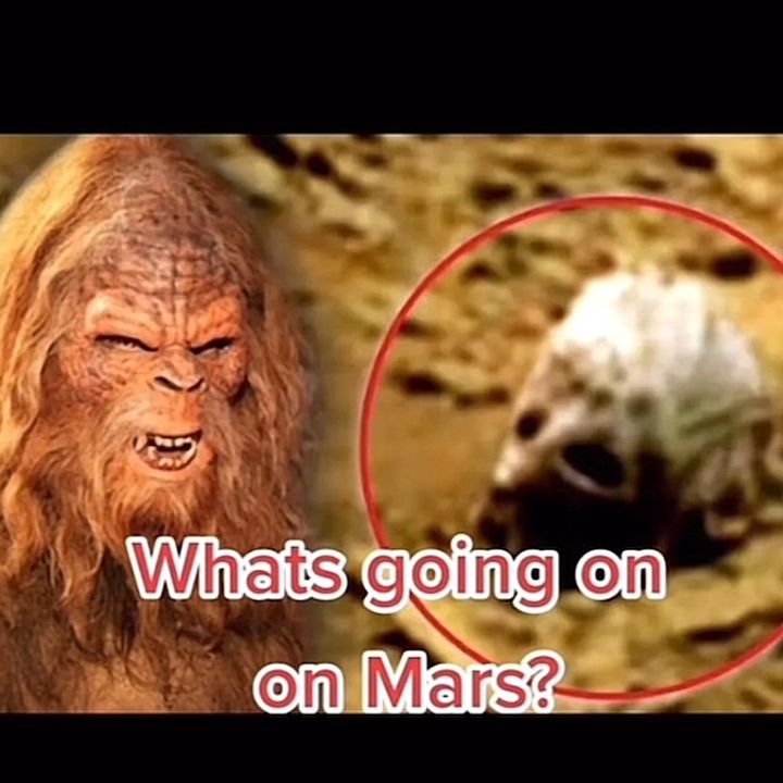Sasquatch_ufos