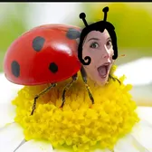 the craziest critter