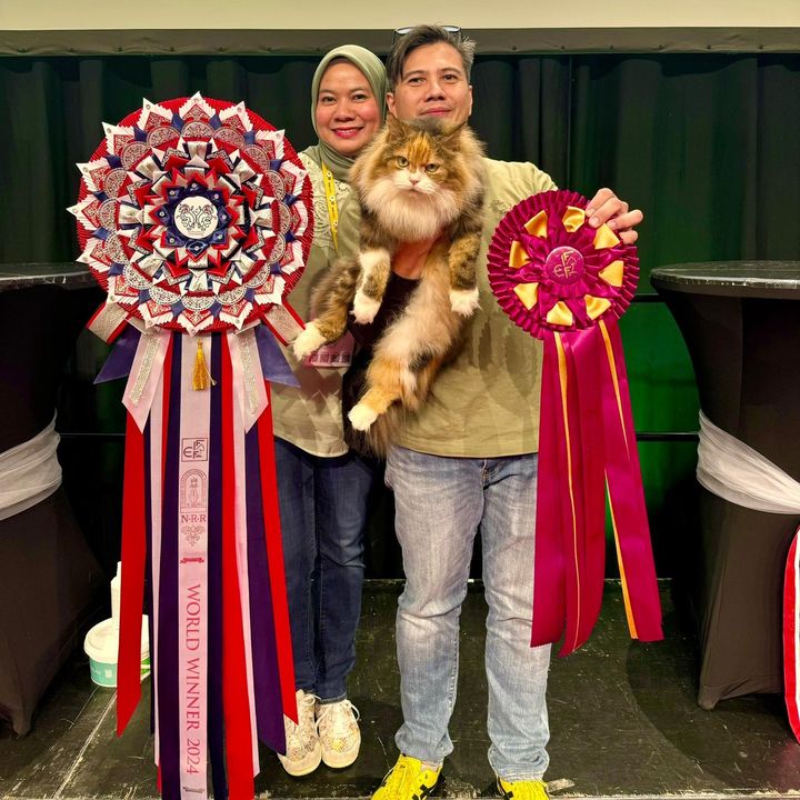 Mommy Gojes And The Luckypaws