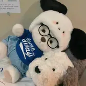 Hoodie Bear