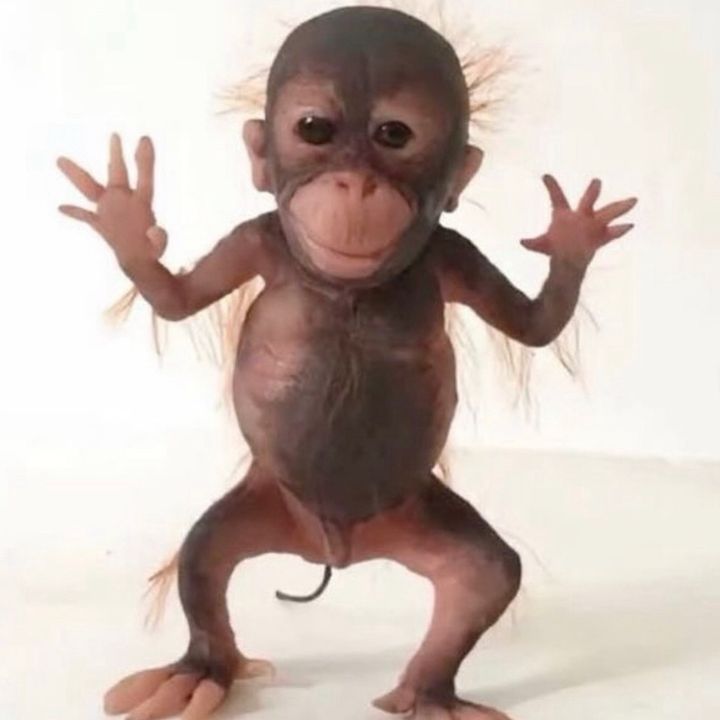 Orangatangita