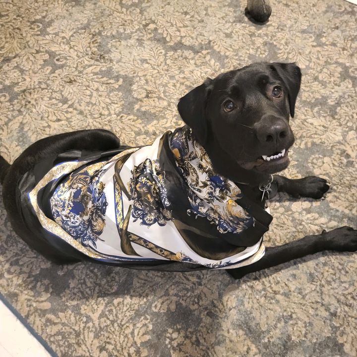Kona Coffee Kramer