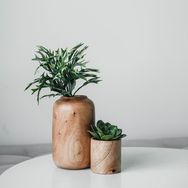 Home_beauty