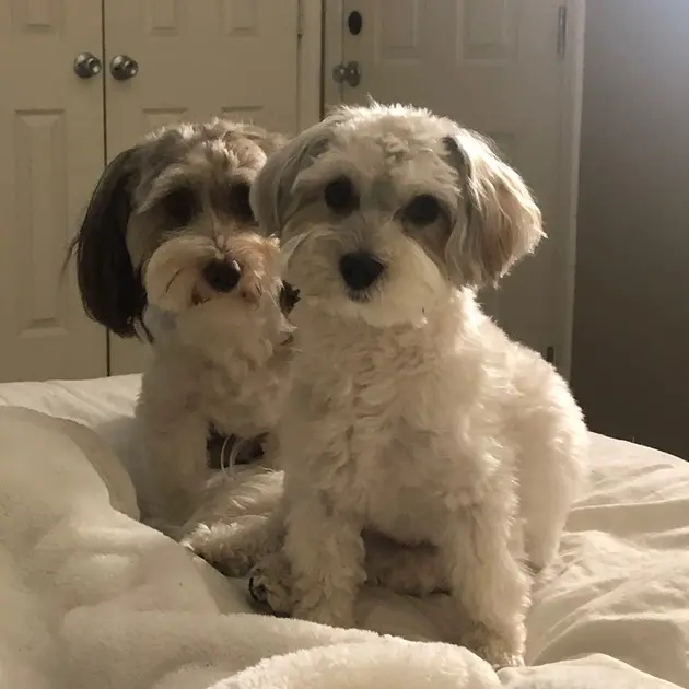 Manolo y Mateo