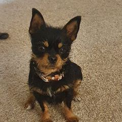 Kateandlola