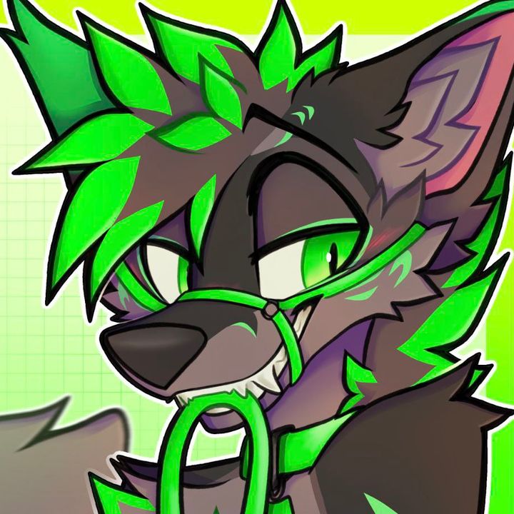xylonvulps