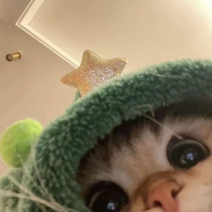 witchygabriella