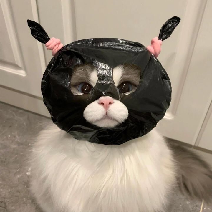 min 🎀