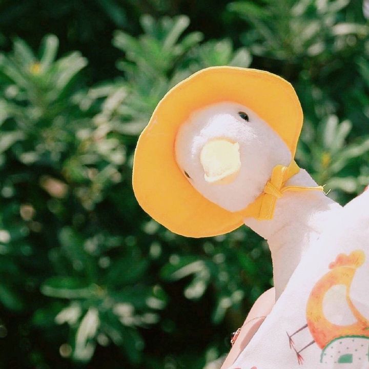 Thích thì mới review