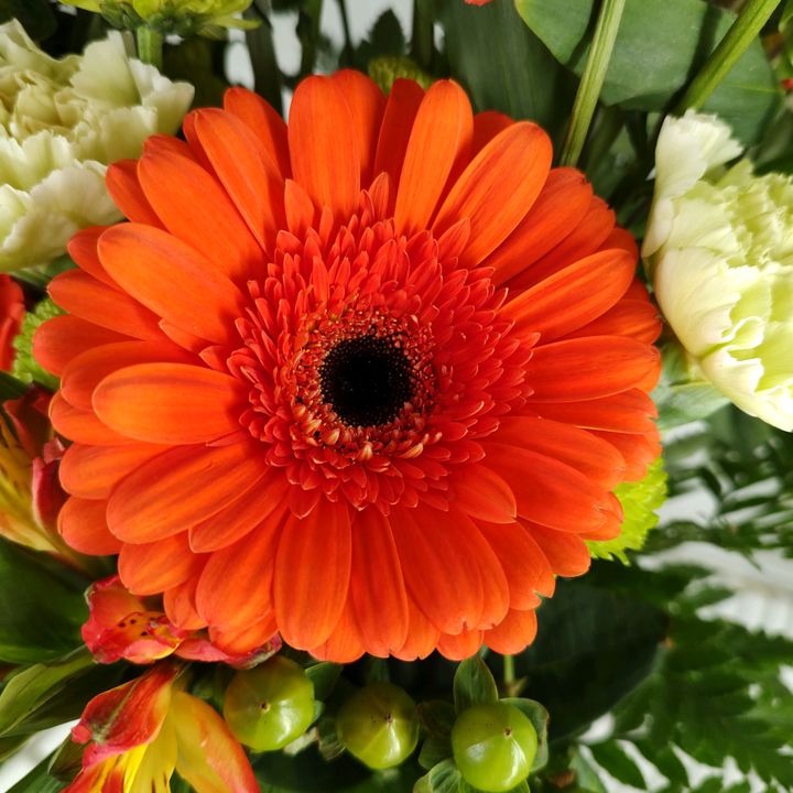 ogallalaflowershop